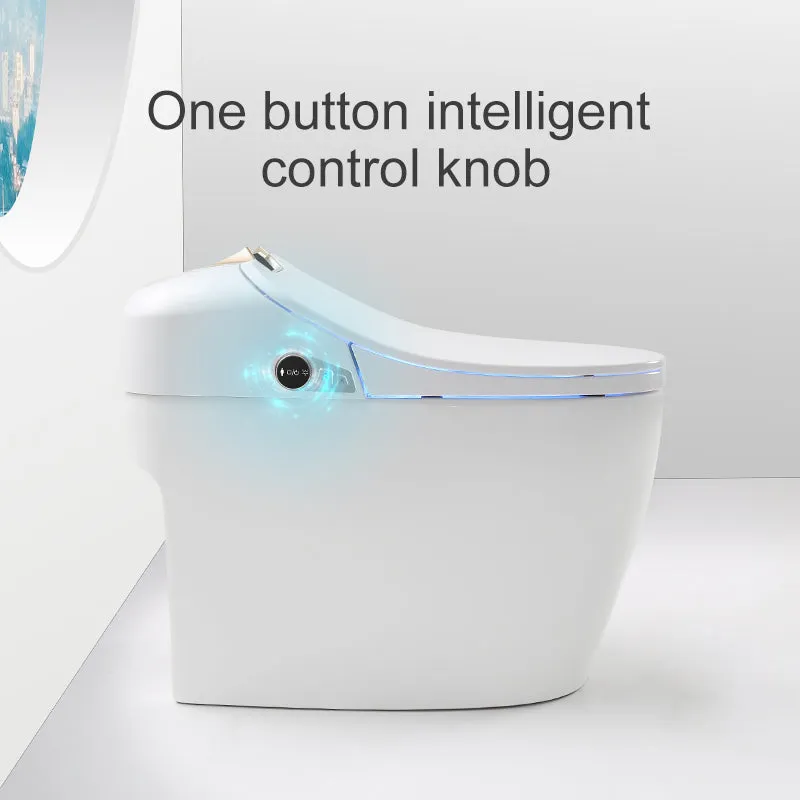 SLTQ9|Smart Toilet  White One-piece Floor Mounted Toilet with Digital Display & Remote Control