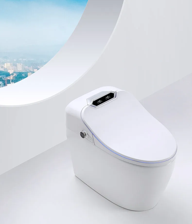 SLTQ9|Smart Toilet  White One-piece Floor Mounted Toilet with Digital Display & Remote Control