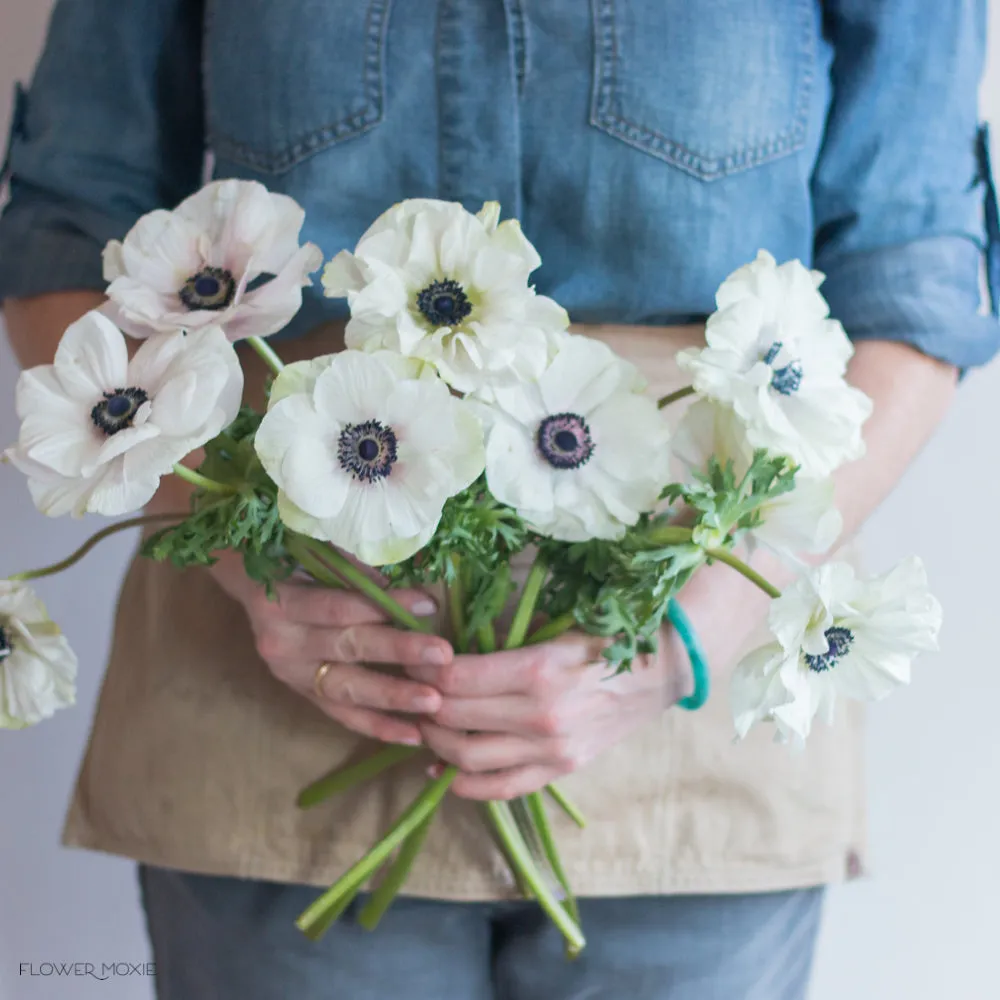 White Anemone Flower