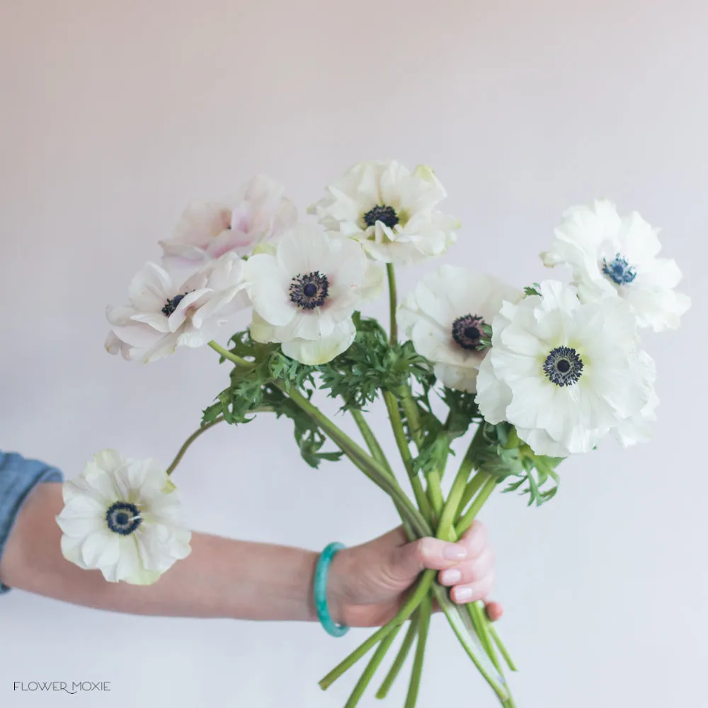 White Anemone Flower